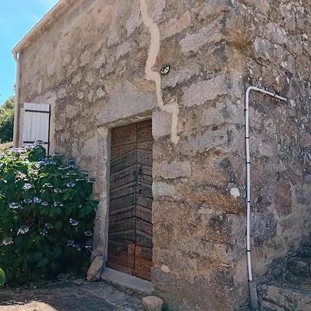 بيت للعطل Casetta - Dans Maisonnette Typique Corse Cognocoli-Monticchi